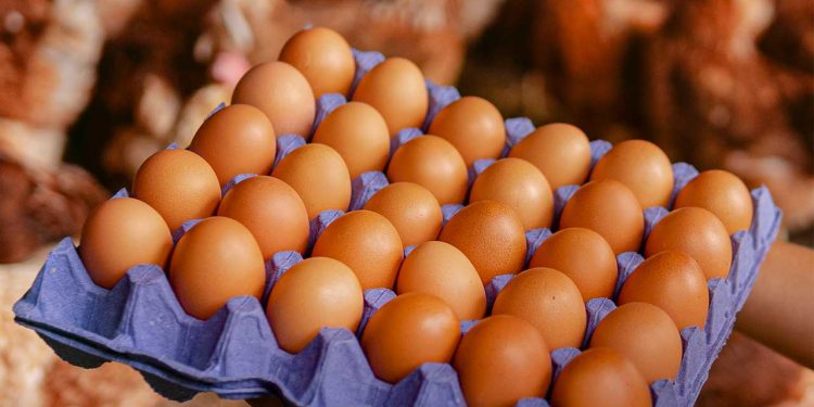 Huevos sin jaulas, el reto pendiente del retail colombiano