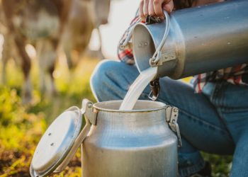 El modelo que transforma el campo colombiano