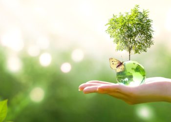 Green retail: El futuro sostenible del comercio físico