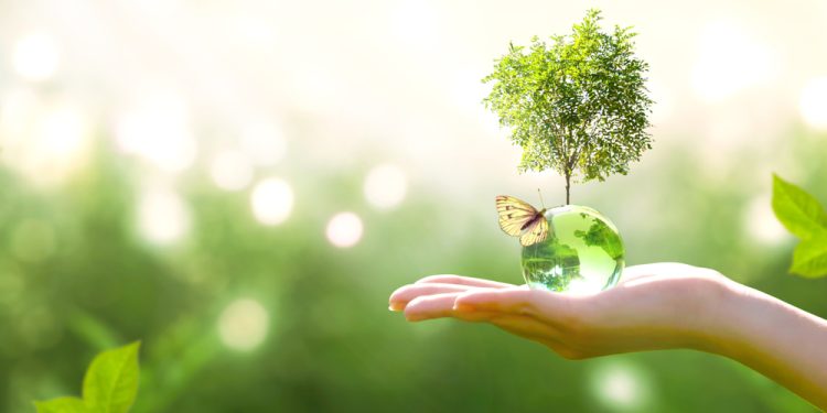 Green retail: El futuro sostenible del comercio físico