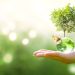 Green retail: El futuro sostenible del comercio físico