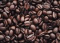 Café brasileño pierde terreno en EE.UU.