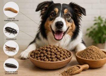 Proteínas de insectos revolucionan alimentación sustentable y saludable para mascotas latinoamericanas modernas