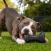 Los juguetes más resistentes para perros destructores que rompen todo rápidamente