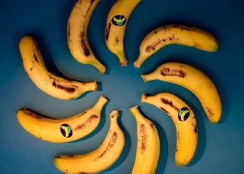 Plátano de Canarias lanza una campaña que celebra a sus consumidores