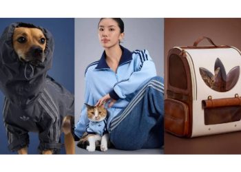 ¡Moda urbana a 4 patas! adidas Originals y su salto pet en Perú