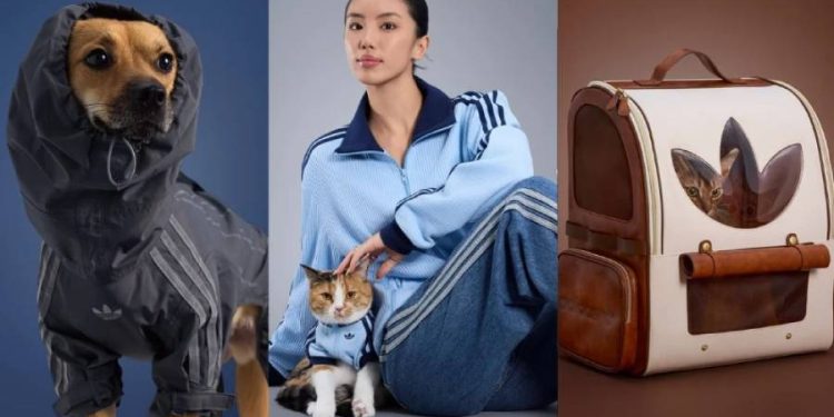 ¡Moda urbana a 4 patas! adidas Originals y su salto pet en Perú