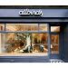 Allbirds es adquirida por American Exchange Group y WSG