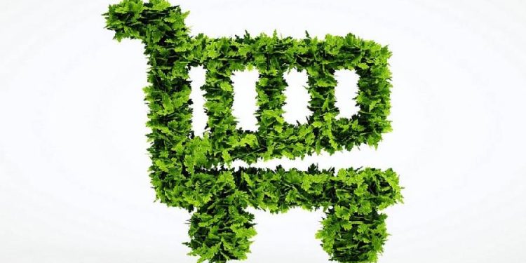 El Green Retail ya no es opcional: por qué la sostenibilidad define el futuro del comercio