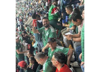 El fenómeno verde: La identidad como el activo más rentable