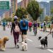 Bogotá convierte sus ciclovías en espacios integrales para el bienestar animal