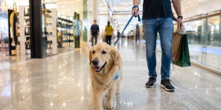 Centro comercial La Sierra convierte mascotas en protagonistas de comunidad