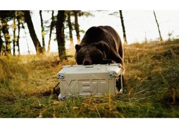 Yeti se expande en España: alianza con Zara y córner en Hurley