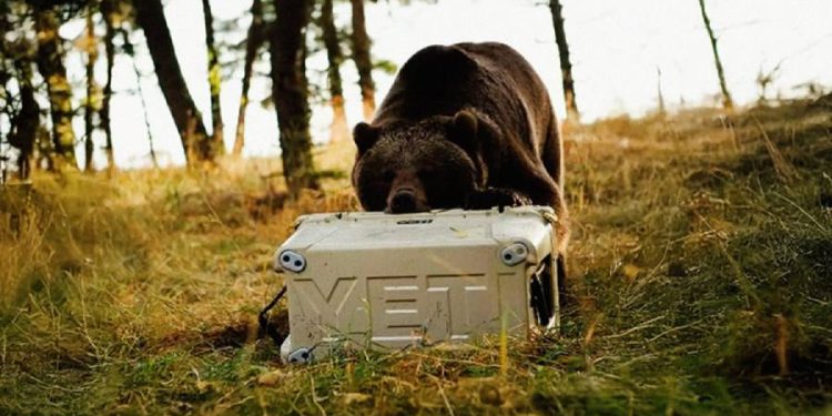 Yeti se expande en España: alianza con Zara y córner en Hurley