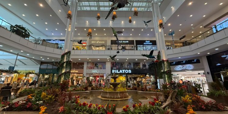 El Tesoro celebra las aves y la biodiversidad