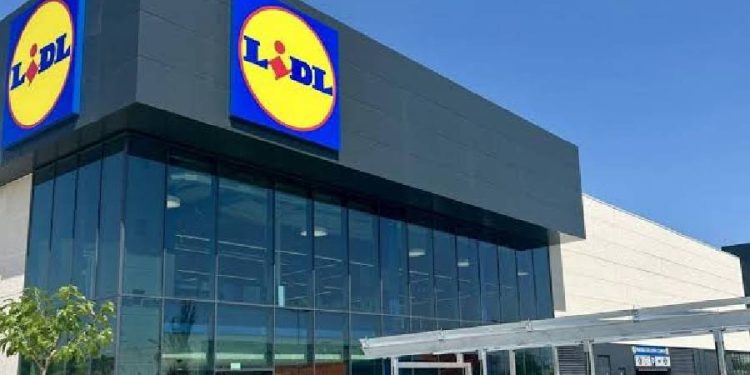 DIA y Lidl avanzan en Madrid mientras Mercadona y otros retroceden ligeramente