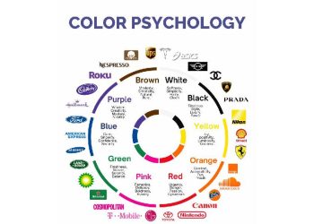El lenguaje silencioso: La psicología del color en la estrategia de marca