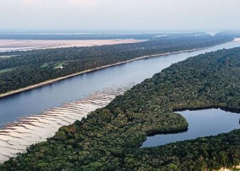 Inditex destina 6,5 millones a la proteccion del Amazonas