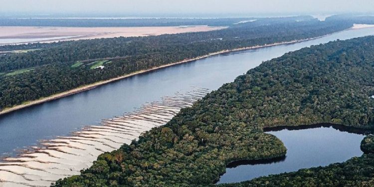 Inditex destina 6,5 millones a la proteccion del Amazonas