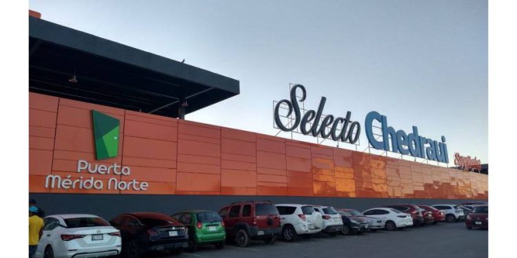 La paradoja del efectivo: lo que Chedraui nos enseña sobre crecer sin asfixiarse