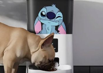 Nexxt Home apuesta por el mercado pet con dispensador inteligente inspirado en Stitch