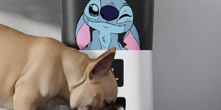 Nexxt Home apuesta por el mercado pet con dispensador inteligente inspirado en Stitch