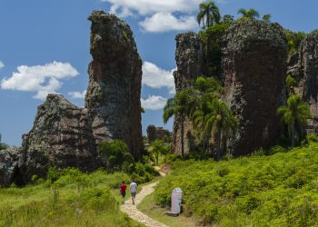 Brasil presenta siete rutas para descubrir su naturaleza