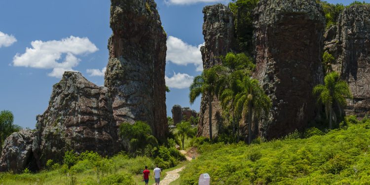 Brasil presenta siete rutas para descubrir su naturaleza